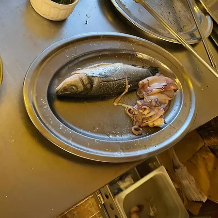 Apartman Punta Petrčane